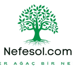 www.nefesol.com